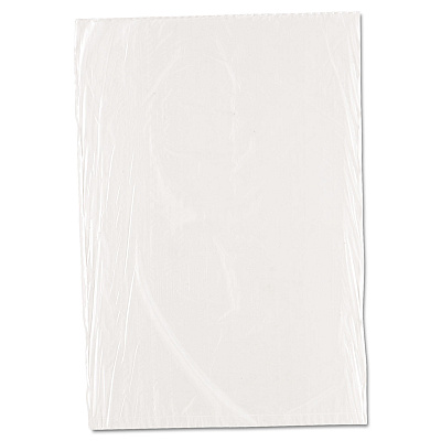Inteplast Group Food Bags, 10" x 14", Clear, 1,000/Carton (IBSPBR1014)