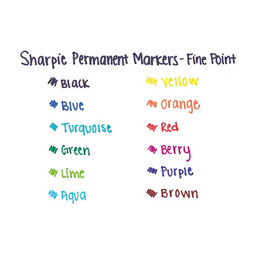 Sharpie Fine Tip Permanent Marker, Fine Bullet Tip, Black, 2/Pack (1801743)