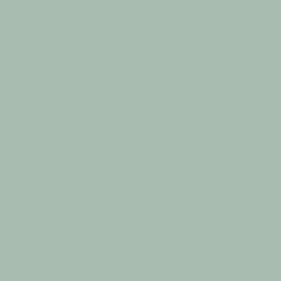 Cotton Bath Mat 24x36 Silt Green, 1 Each (P-HH-BM-2436-GR)