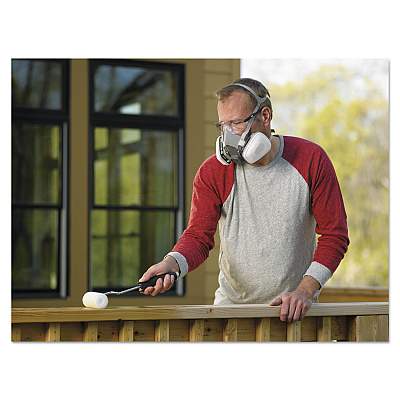 3M Half Facepiece Paint Spray/Pesticide Respirator, Large (MMM6311PA1A)