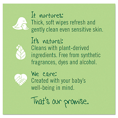 Seventh Generation Free and Clear Baby Wipes, Refill, 7 x 7, Unscented, White, 256/Pack (SEV34219)