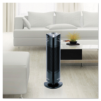 Ionic Pro Compact Ionic Air Purifier, 250 sq ft Room Capacity, Black (ION90IP01MI01W)