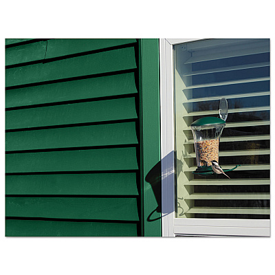 Command All Weather Hooks and Strips, Large, Plastic, Clear, 4 lb Capacity, 1 Hook and 2 Strips/Pack (MMM17093CLRAWES)