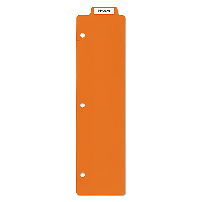 Avery Tabbed Snap-In Bookmark Plastic Dividers, 5-Tab, 11.5 x 3, Assorted, 1 Set (AVE24908)
