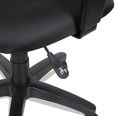 Alera Essentia Series Swivel Task Chair with Adjustable Arms, Supports Up to 275 lb, 17.71" to 22.44" Seat Height, Black (ALEVTA4810)