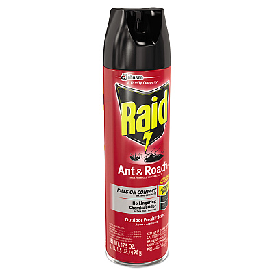 Raid Ant and Roach Killer, 17.5 oz Aerosol Spray, Outdoor Fresh (SJN351104EA)