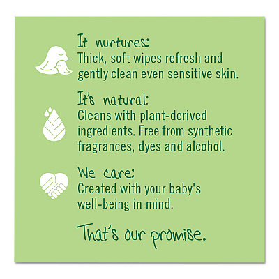 Seventh Generation Free and Clear Baby Wipes, 7 x 7, Refill, Unscented, White, 256/Pack, 3 Packs/Carton (SEV34219CT)