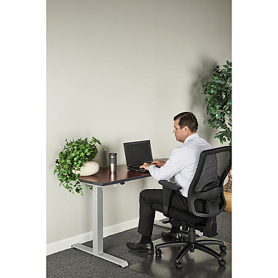 Alera AdaptivErgo Sit-Stand Two-Stage Electric Height-Adjustable Table Base, 48.06" x 24.35" x 27.5" to 47.2", Gray (ALEHT2SSG)