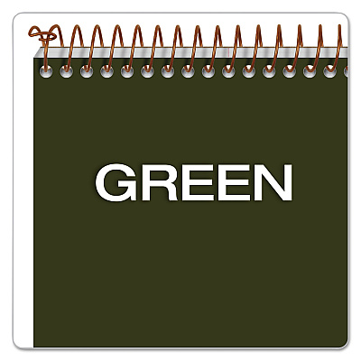 Ampad Gold Fibre Steno Pads, Gregg Rule, Designer Green/Gold Cover, 100 White 6 x 9 Sheets (TOP20806)