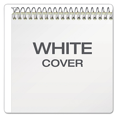 Ampad Steno Pads, Gregg Rule, Green Cover, 80 Green-Tint 6 x 9 Sheets, 6/Pack (TOP25278)