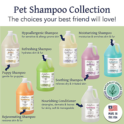 Bobbi Panter Botanicals Refreshing Dog Shampoo Mint/chamoile (1 Gallon) (BP00037)