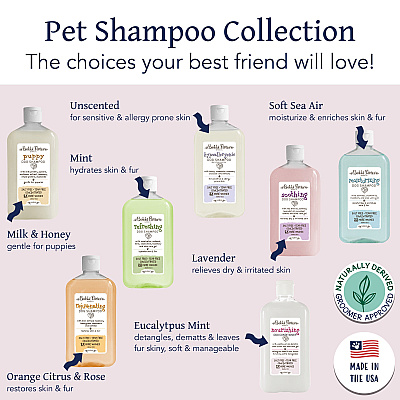 Bobbi Panter Botanicals Nourishing Dog Conditioner Shea Butter (14 Oz), Case Of 12 (BP00076-CS)
