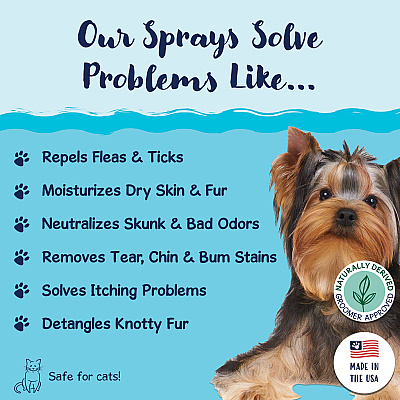 Bobbi Panter Signature Stinky Dog Solution Spray (8oz), 8 Oz Bottle (BP00025)