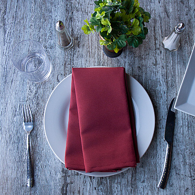 Mariposa Poly Spun Napkin 20x20 Burgundy, Pack Of 25 (PNP-NAP-BUR-25)