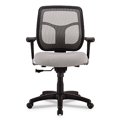 Eurotech Apollo Mid-Back Mesh Chair, 18.1" to 21.7" Seat Height, Silver Seat, Silver Back, Black Base (EUTMT9400SR)