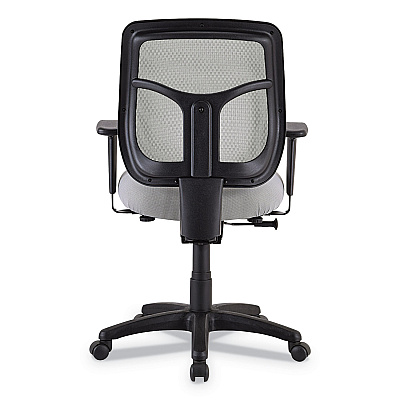 Eurotech Apollo Mid-Back Mesh Chair, 18.1" to 21.7" Seat Height, Silver Seat, Silver Back, Black Base (EUTMT9400SR)