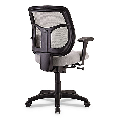 Eurotech Apollo Mid-Back Mesh Chair, 18.1" to 21.7" Seat Height, Silver Seat, Silver Back, Black Base (EUTMT9400SR)