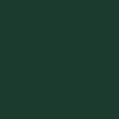 Cotton Jr. Salon Towel 16x27 Hunter Green, Pack Of 12 (P-BBJ1627-2.5HU)