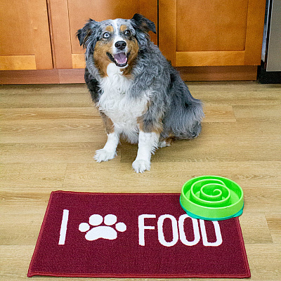 Pet Mat 16x24 Food, 1 Each (PM-16X24-FOOD)