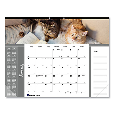 Blueline Pets Collection Monthly Desk Pad, Furry Kittens Photography, 22 x 17, White Sheets, Black Binding, 12-Month (Jan-Dec): 2026 (C194115)