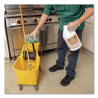 Simple Green d Pro 3 Plus Antibacterial Concentrate, Herbal, 1 gal Bottle, 6/Carton (SMP01001)