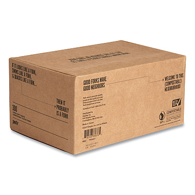 Perk Mediumweight Plastic Cutlery, Fork, White, 300/Pack (PRK24390987)