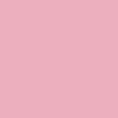 Smart Choice Microfiber Cloths 14x14 38gm Pink, Pack Of 12 (PNP915170P)