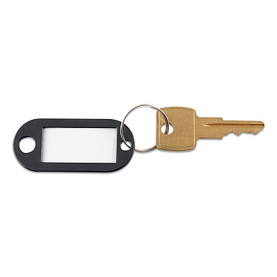 Advantus Key Tags Label Window, 0.88 x 0.19 x 2, Black, 6/Pack (AVTKEY98017)