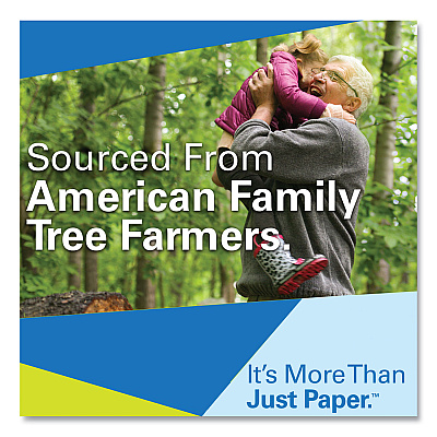 Hammermill Fore Multipurpose Print Paper, 96 Bright, 3-Hole, 20 lb Bond Weight, 8.5 x 11, White, 500 Sheets/Ream (HAM103275)