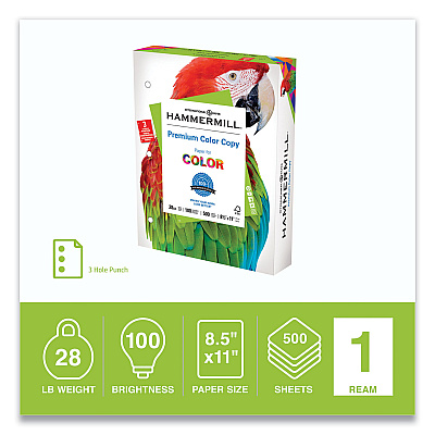 Hammermill Premium Color Copy Print Paper, 100 Bright, 3-Hole, 28 lb Bond Weight, 8.5 x 11, Photo White, 500 Sheets/Ream, 8 Reams/Carton (HAM102500)