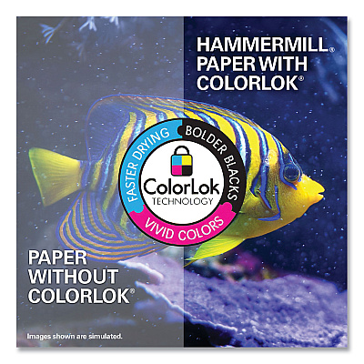 Hammermill Premium Color Copy Print Paper, 100 Bright, 3-Hole, 28 lb Bond Weight, 8.5 x 11, Photo White, 500 Sheets/Ream, 8 Reams/Carton (HAM102500)