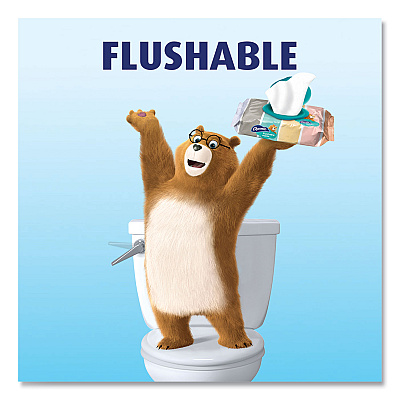 Charmin Flushable Wipes, 1-Ply, 5 x 7.2, Unscented, White, 40 Wipes/Tub, 4 Tubs/Pack (PGC79619)