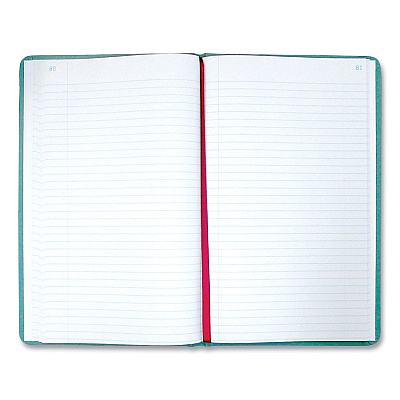 National Tuff Series Record Book, Green Cover, 12 x 7.5 Sheets, 500 Sheets/Book (REDA66500R)