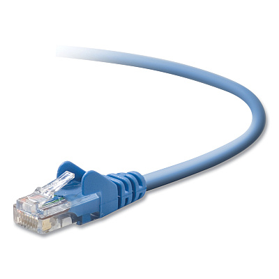 Belkin CAT6 UTP Computer Patch Cable, 25 ft, Blue (BLKA3L98B25BLUS)
