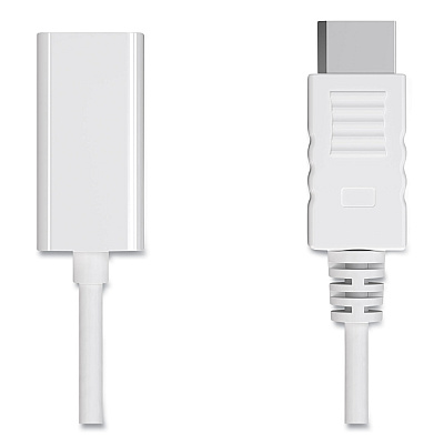 NXT Technologies DisplayPort to HDMI Adapter, 6", White (NXT24400011)