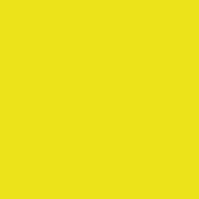 Smart Choice Microfiber Cloths 14x14 38gm Yellow, Pack Of 12 (PNP915170Y)