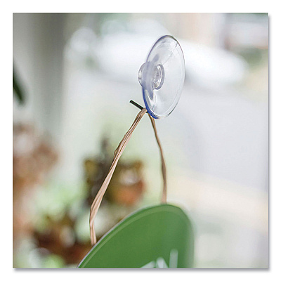 deflecto Suction Cup with Hook, Metal Silver Hook, 25/Pack (DEF20011)