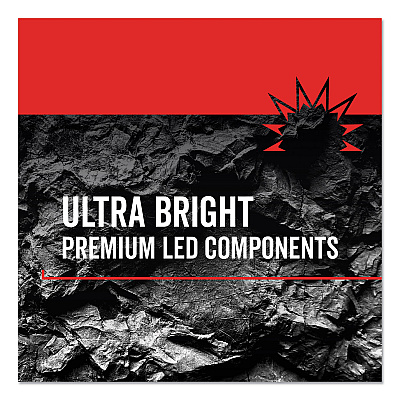 Rayovac Virtually Indestructible LED Headlight, 3 AAA Batteries (Included), 30 m Projection, Black (RAYDIYHL3AAABTA)