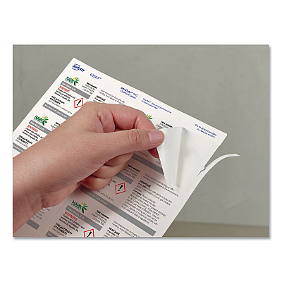 Avery UltraDuty GHS Chemical Waterproof and UV Resistant Labels, 2 x 4, White, 10/Sheet, 50 Sheets/Pack (AVE60525)