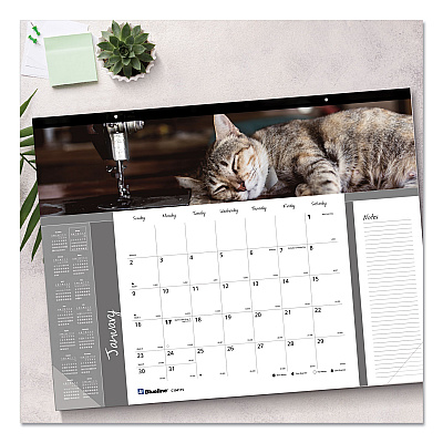 Blueline Pets Collection Monthly Desk Pad, Furry Kittens Photography, 22 x 17, White Sheets, Black Binding, 12-Month (Jan-Dec): 2026 (C194115)