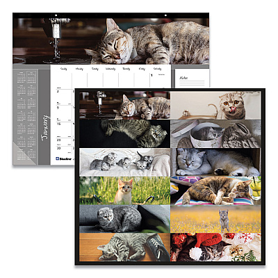 Blueline Pets Collection Monthly Desk Pad, Furry Kittens Photography, 22 x 17, White Sheets, Black Binding, 12-Month (Jan-Dec): 2026 (C194115)