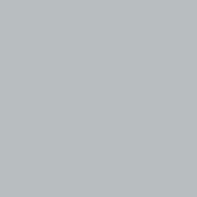 Silversure Anti-microbial Cleaning Cloth 12x12 Gray, Pack Of 12 (PNP-M915SLV-FG)