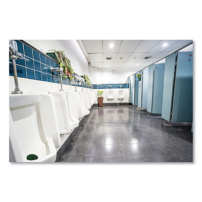 Fresh Products Eco-Fresh Urinal Block, Non-Para, Green Apple, Green, 12/Box, 12 Boxes/Carton (FRSEUB144CF)