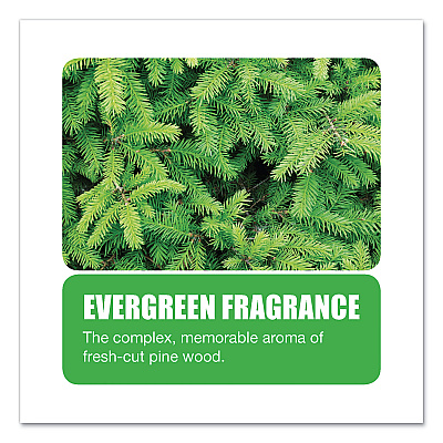 Big D Industries Extra Duty Urinal Screen with Non-Para Block, Evergreen with Enzymes Scent, White, Dozen (BGD660)