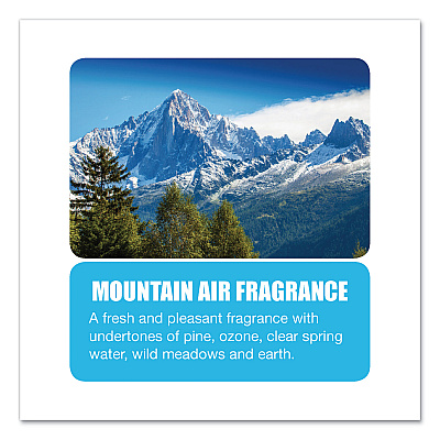 Big D Industries Metered Concentrated Room Deodorant, Mountain Air Scent, 7 oz Aerosol Spray, 12/Carton (BGD463)