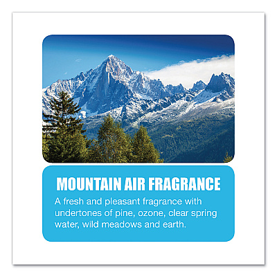 Big D Industries Odor Control Fogger, Mountain Air Scent, 5 oz Aerosol Spray, 12/Carton (BGD344)