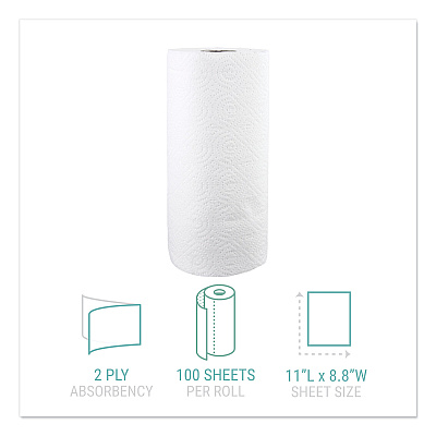 Windsoft Kitchen Roll Towels, 2-Ply, 11 x 8.8, White, 100/Roll (WIN1220RL)