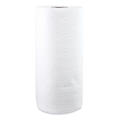 Windsoft Kitchen Roll Towels, 2-Ply, 11 x 8.5, White, 85/Roll (WIN122085RL)
