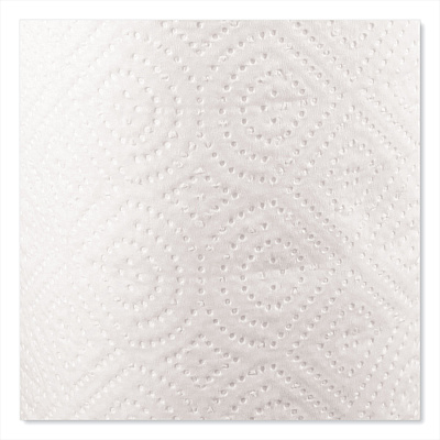 Windsoft Kitchen Roll Towels, 2-Ply, 11 x 8.8, White, 100/Roll (WIN1220RL)