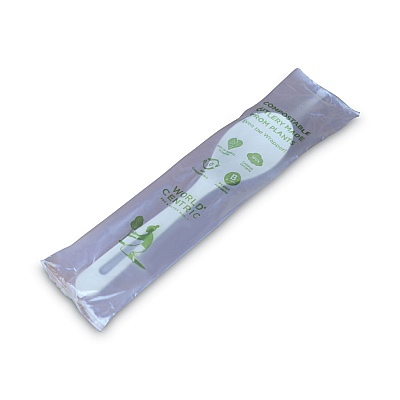 World Centric TPLA Compostable Cutlery, Spoon, 6", White, 750/Carton (WORSPPSI)